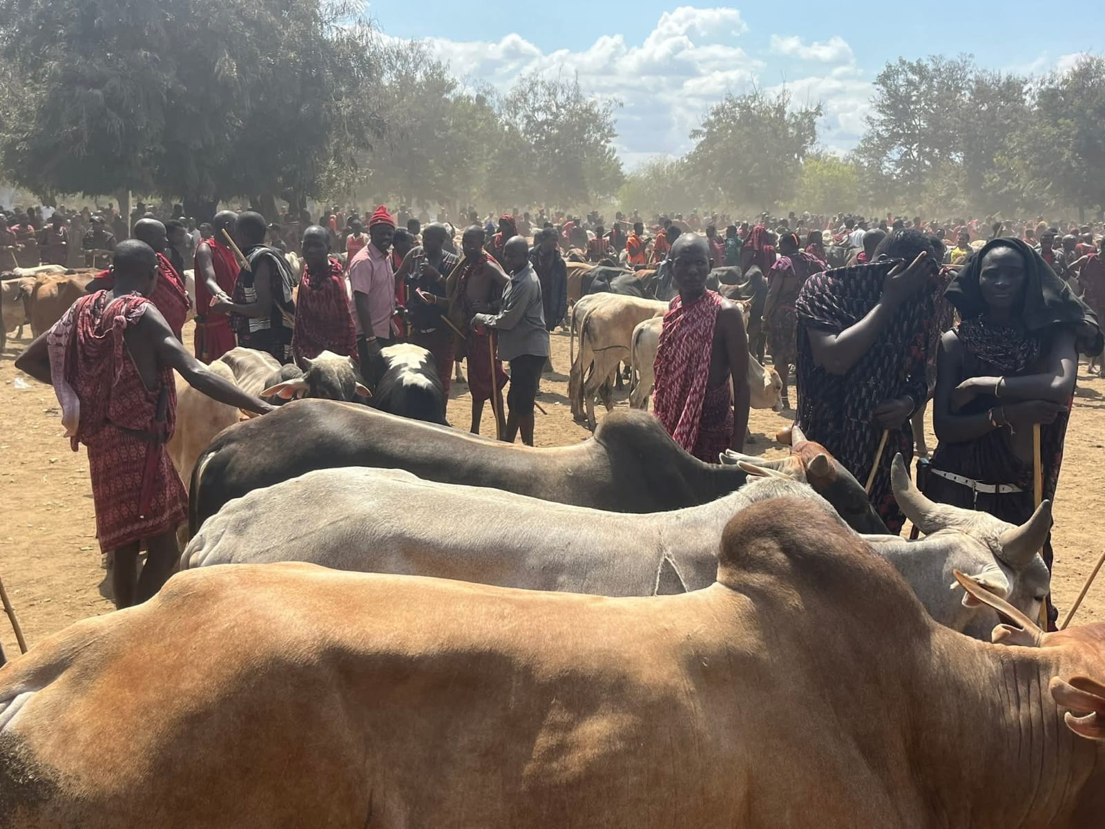 Éleveurs au marché Maasaï